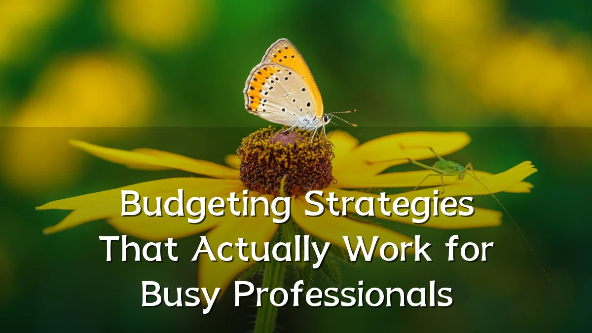 Budgeting Strategies That Actually Work for Busy Professionals