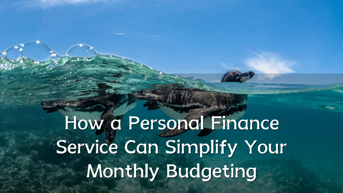 How a Personal Finance Service Can Simplify Your Monthly Budgeting