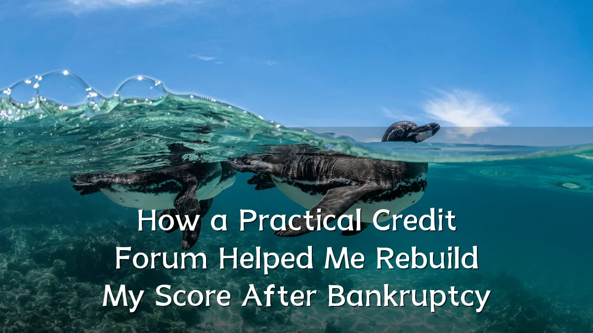 How a Practical Credit Forum Helped Me Rebuild My Score After Bankruptcy