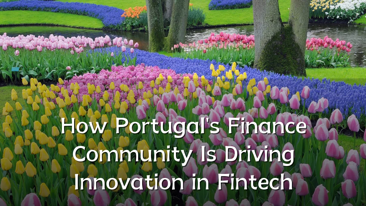 How Portugal's Finance Community Is Driving Innovation in Fintech