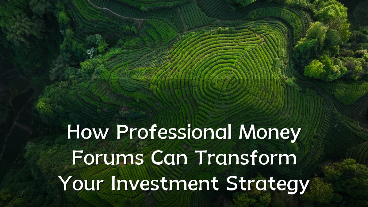 How Professional Money Forums Can Transform Your Investment Strategy