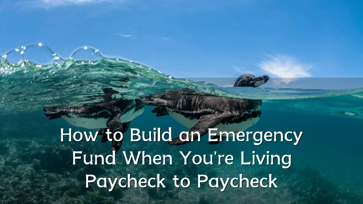 How to Build an Emergency Fund When You're Living Paycheck to Paycheck