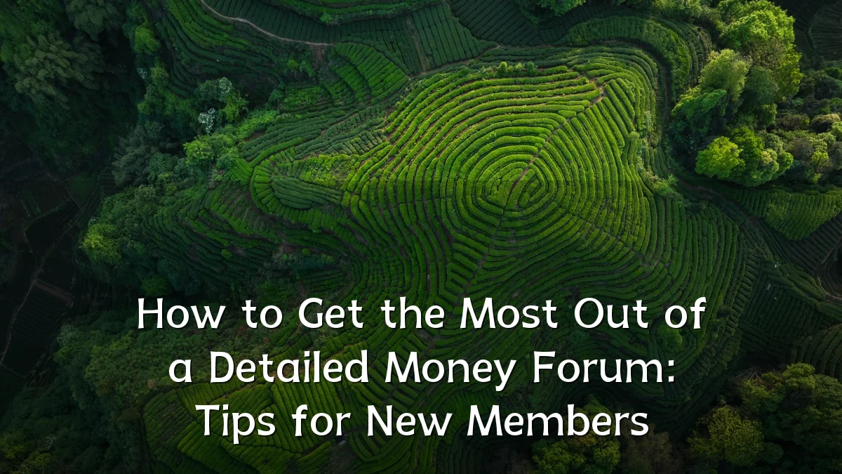 How to Get the Most Out of a Detailed Money Forum: Tips for New Members