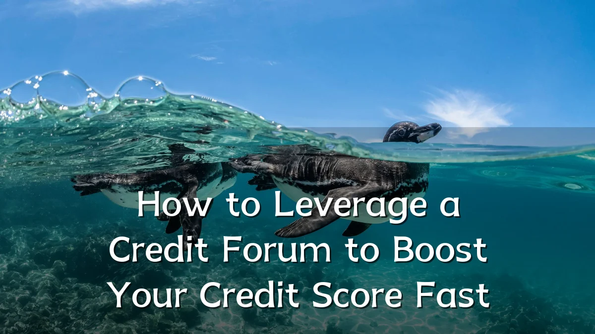 How to Leverage a Credit Forum to Boost Your Credit Score Fast