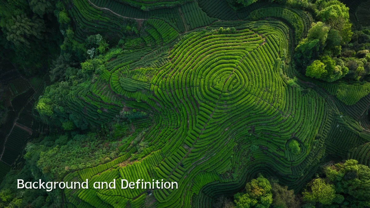 Background and Definition