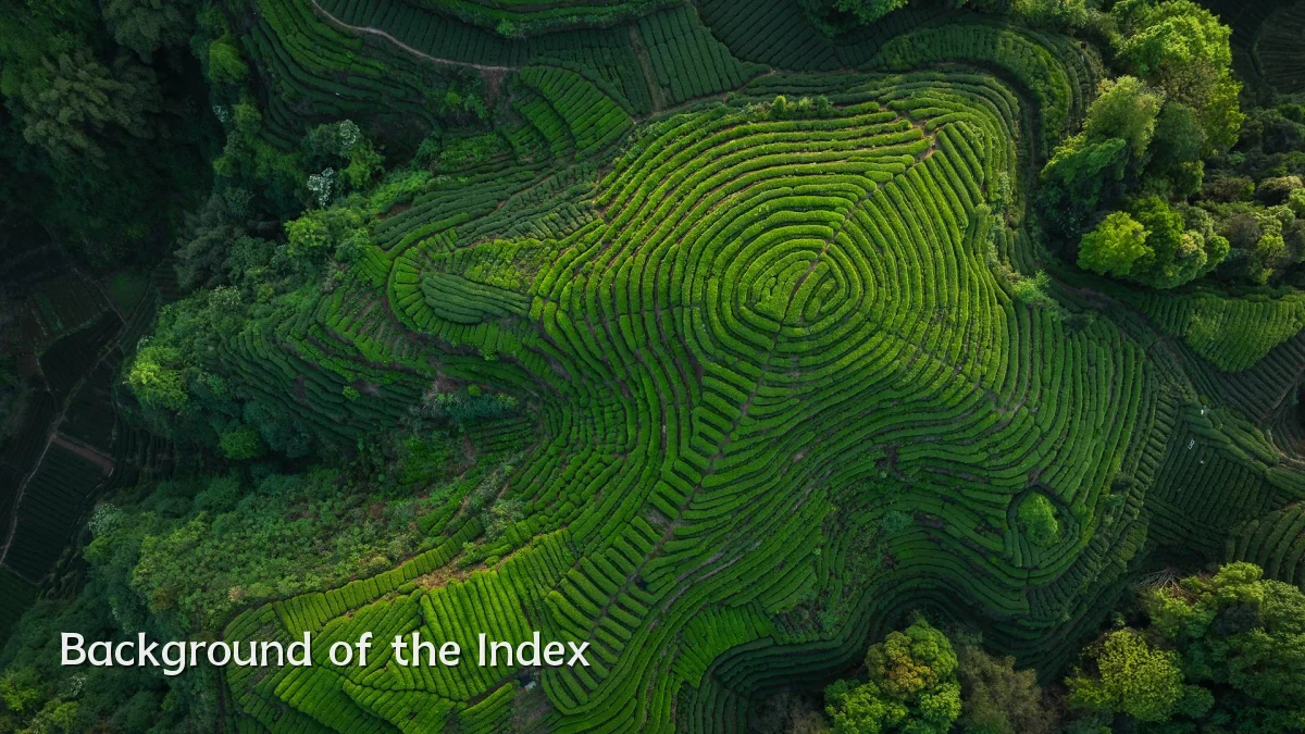 Background of the Index