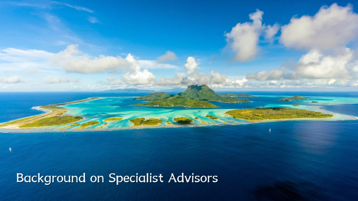 Background on Specialist Advisors