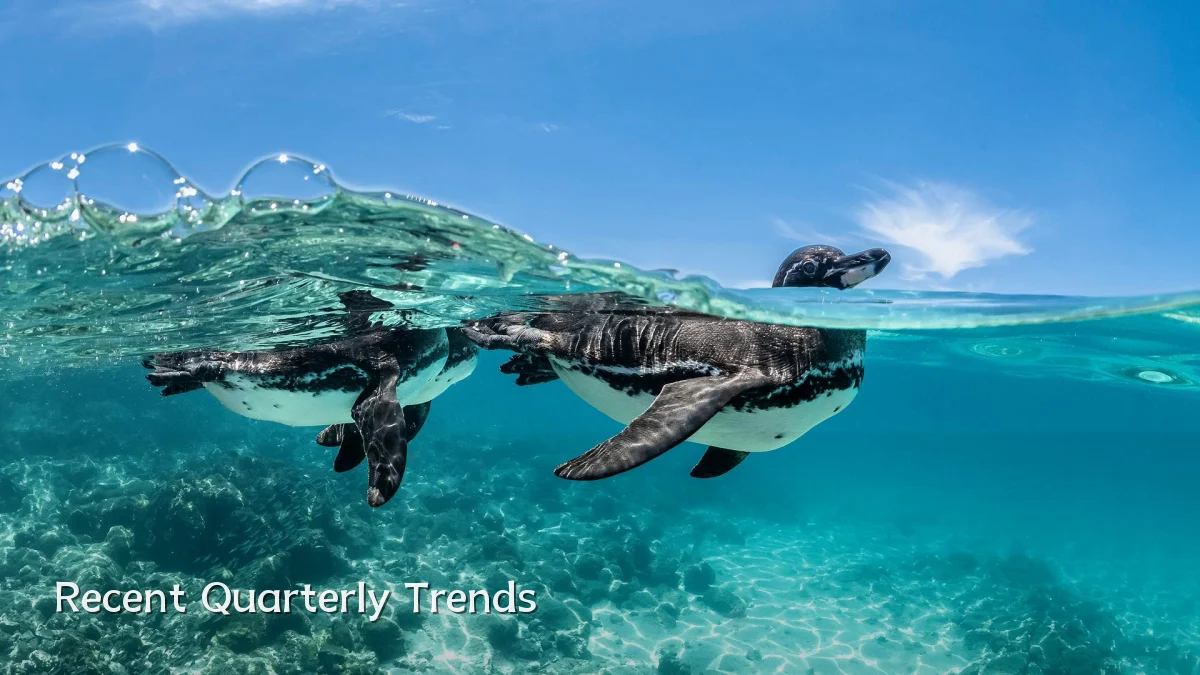 Recent Quarterly Trends