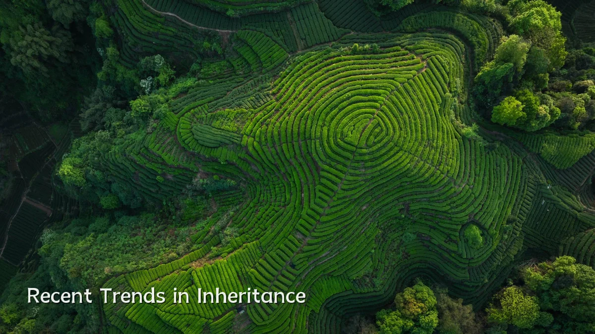 Recent Trends in Inheritance