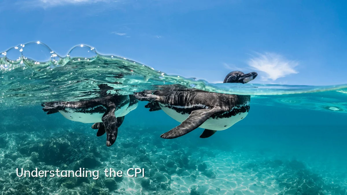 Understanding the CPI