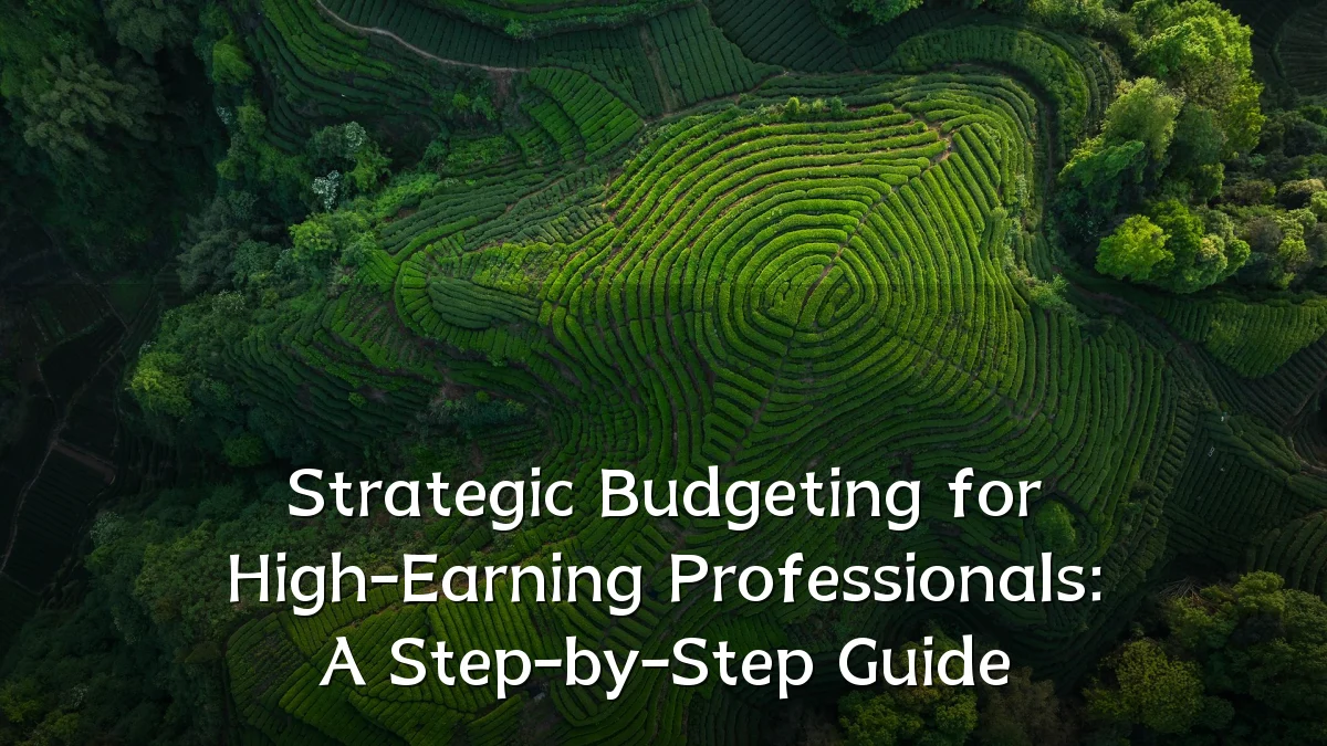 Strategic Budgeting for High-Earning Professionals: A Step-by-Step Guide