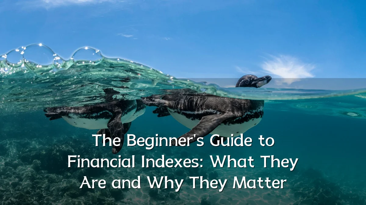 The Beginner's Guide to Financial Indexes: What They Are and Why They Matter