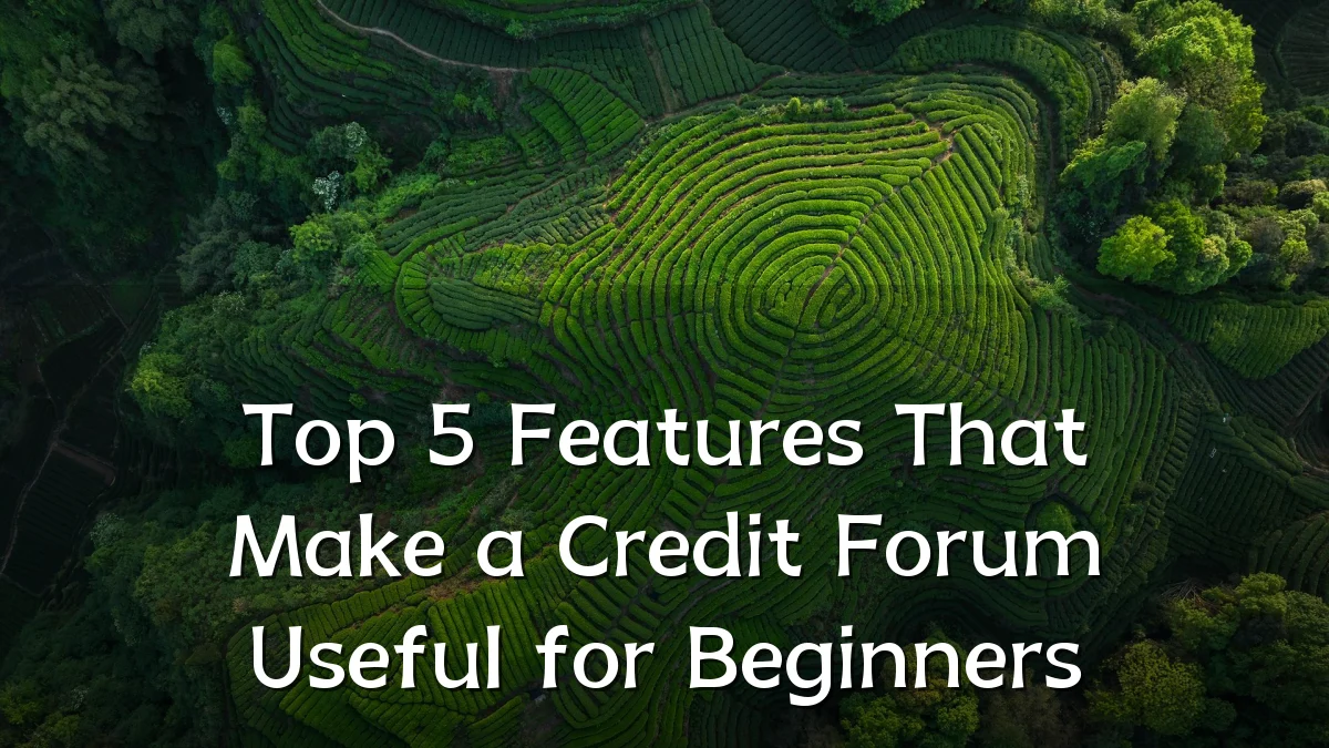 Top 5 Features That Make a Credit Forum Useful for Beginners