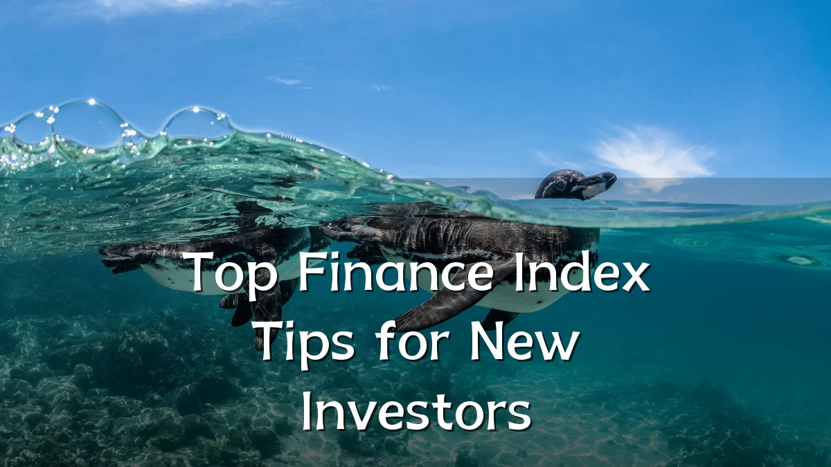 Top Finance Index Tips for New Investors