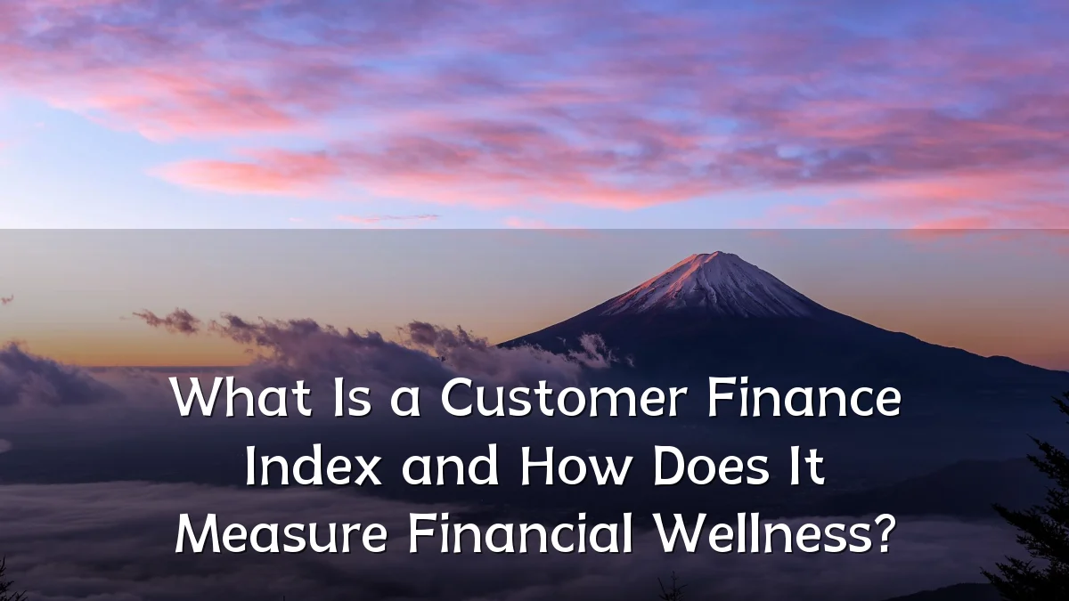 What Is a Customer Finance Index and How Does It Measure Financial Wellness?