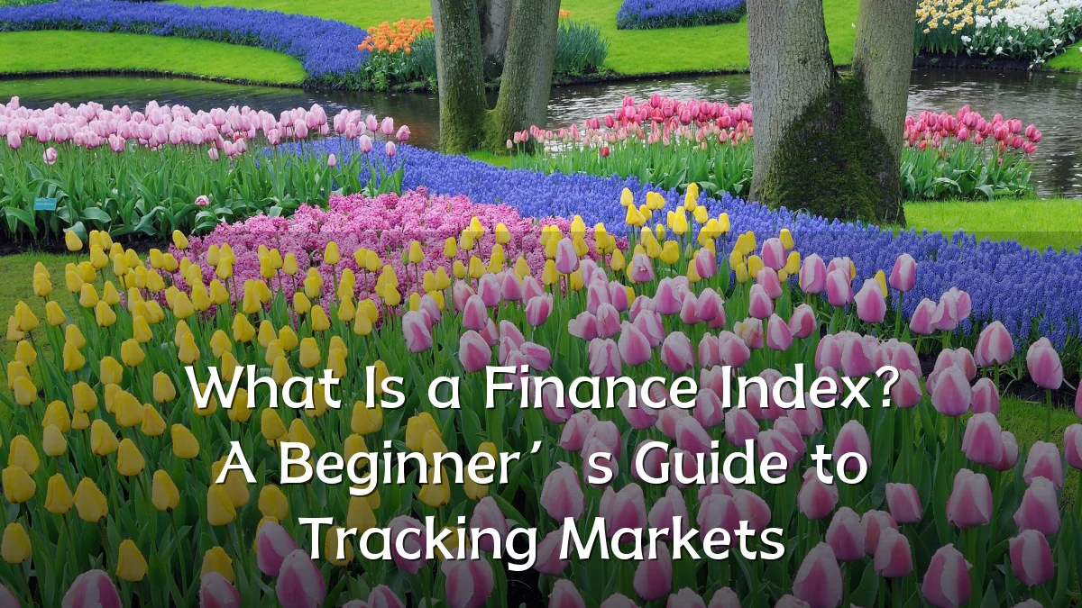 What Is a Finance Index? A Beginner’s Guide to Tracking Markets