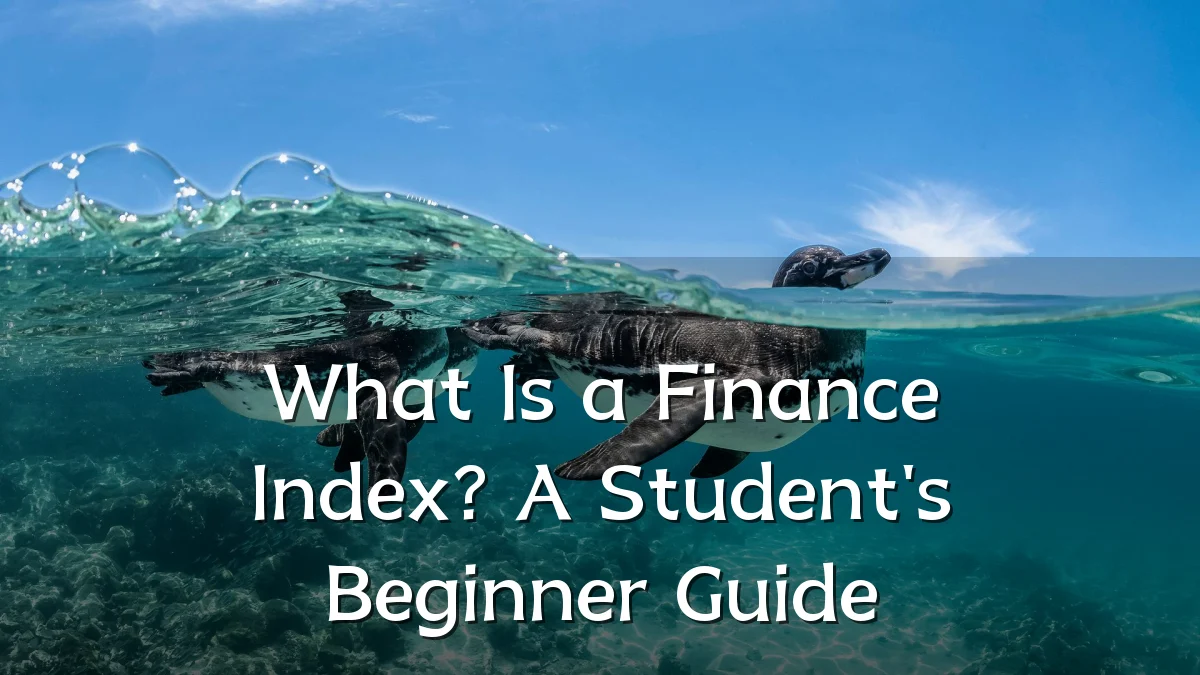 What Is a Finance Index? A Student's Beginner Guide