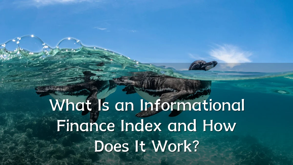 What Is an Informational Finance Index and How Does It Work?