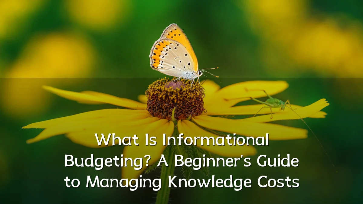 What Is Informational Budgeting? A Beginner's Guide to Managing Knowledge Costs