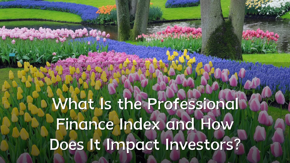 What Is the Professional Finance Index and How Does It Impact Investors?