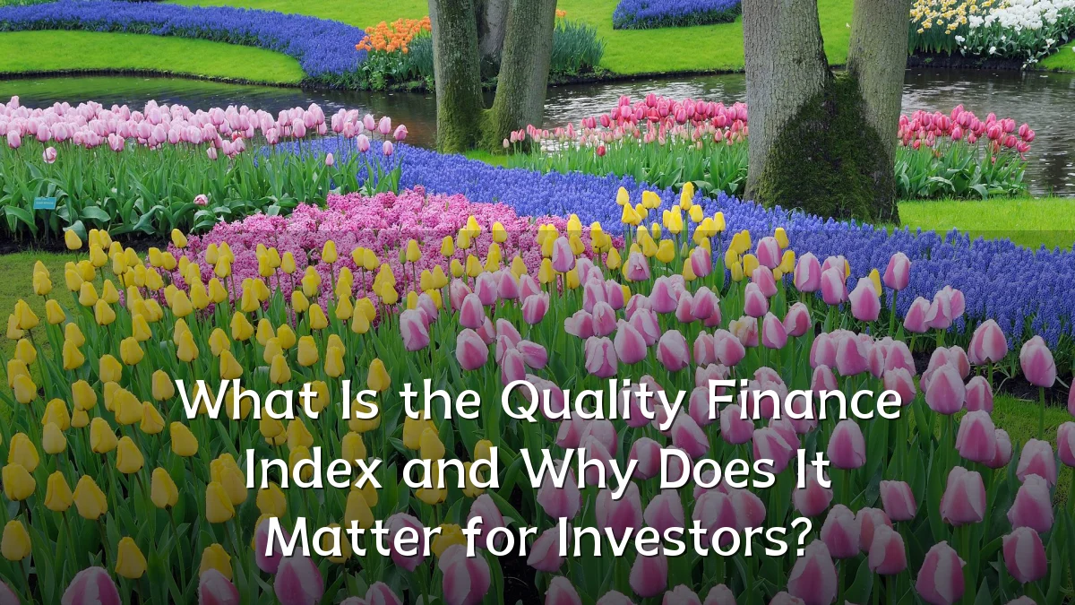 What Is the Quality Finance Index and Why Does It Matter for Investors?