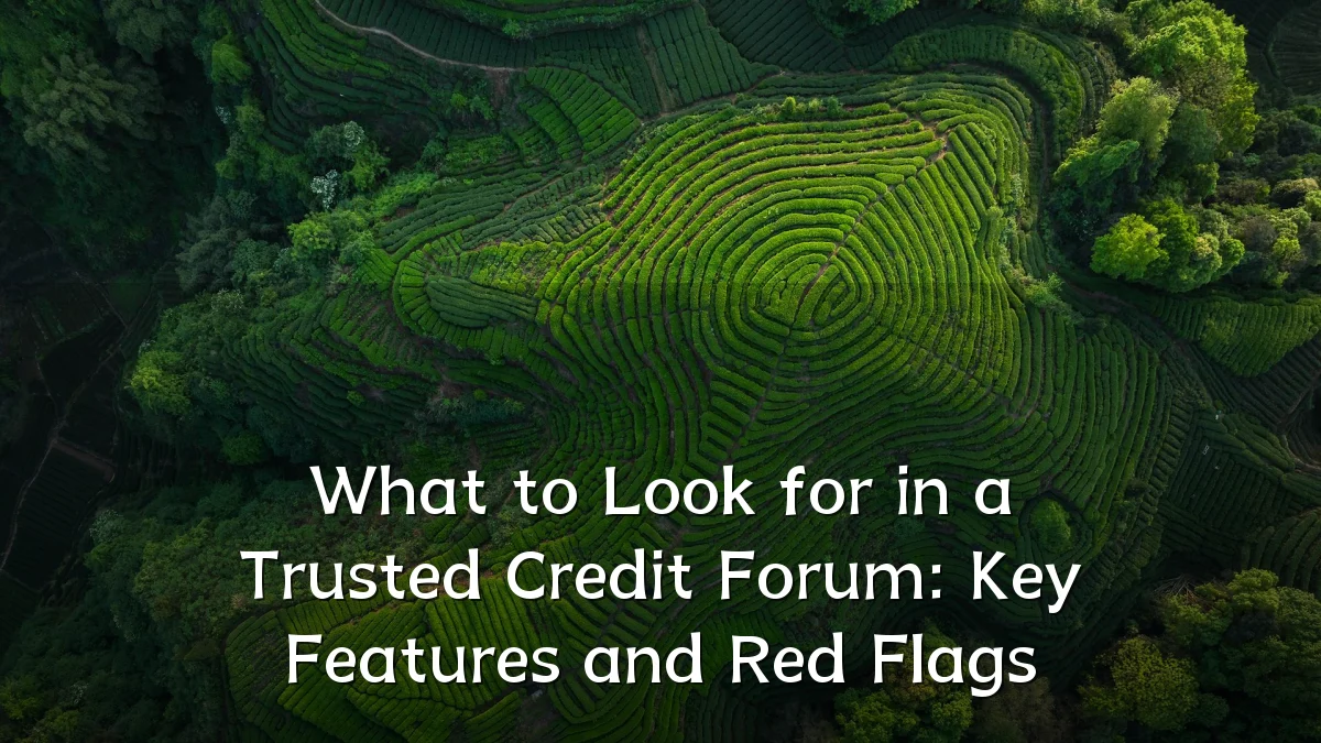What to Look for in a Trusted Credit Forum: Key Features and Red Flags