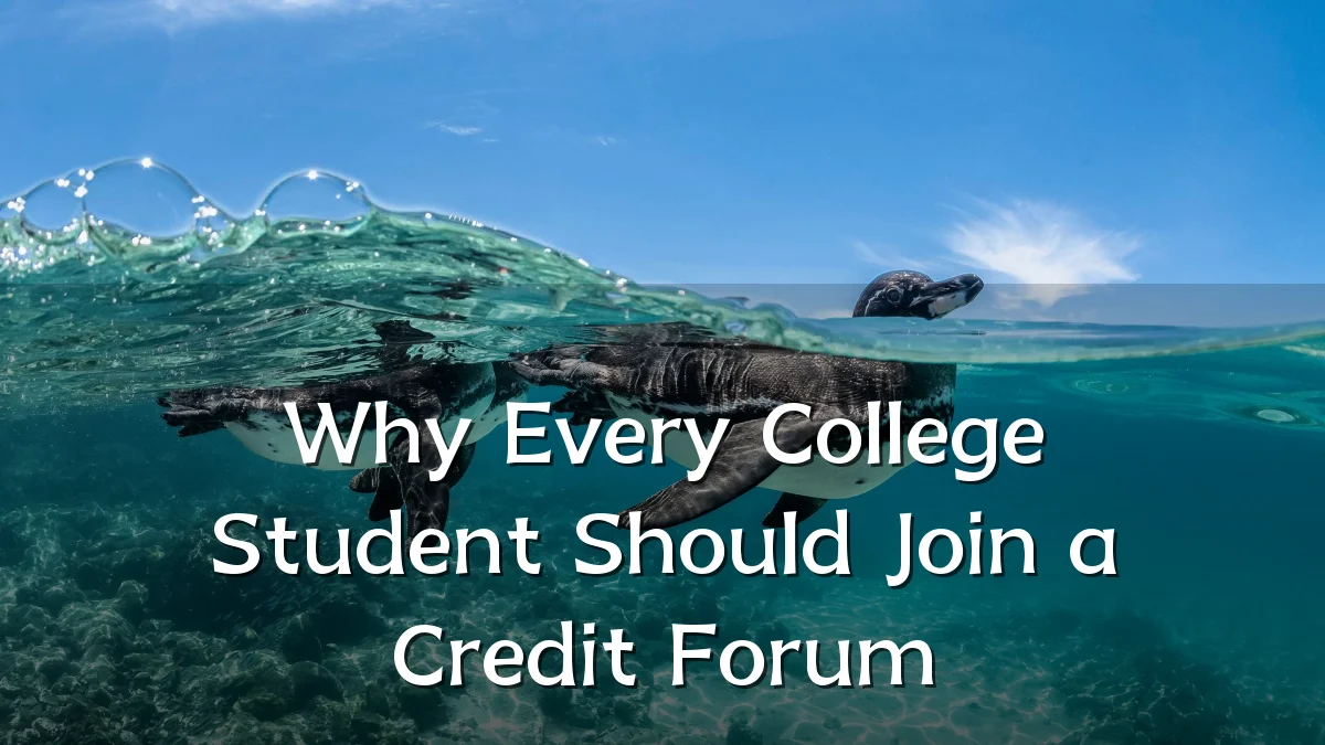 Why Every College Student Should Join a Credit Forum