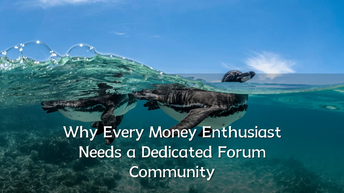Why Every Money Enthusiast Needs a Dedicated Forum Community