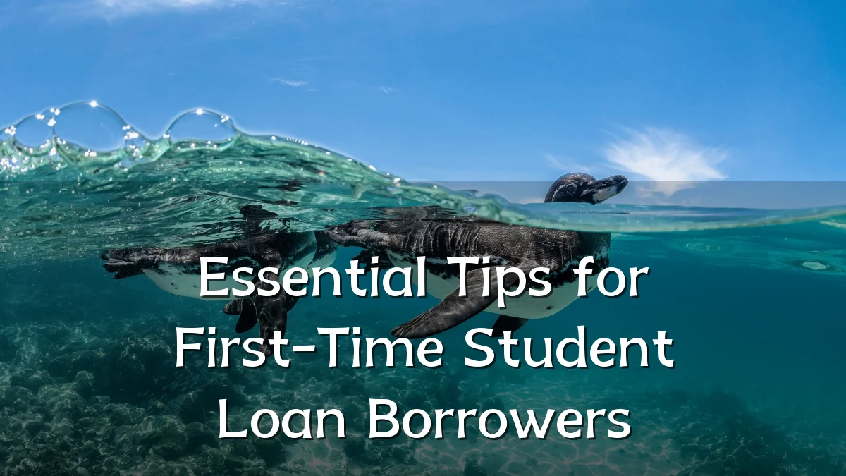 Essential Tips for First-Time Student Loan Borrowers