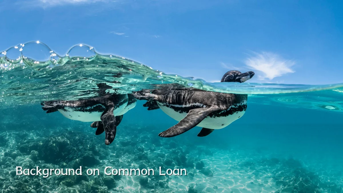 Background on Common Loan