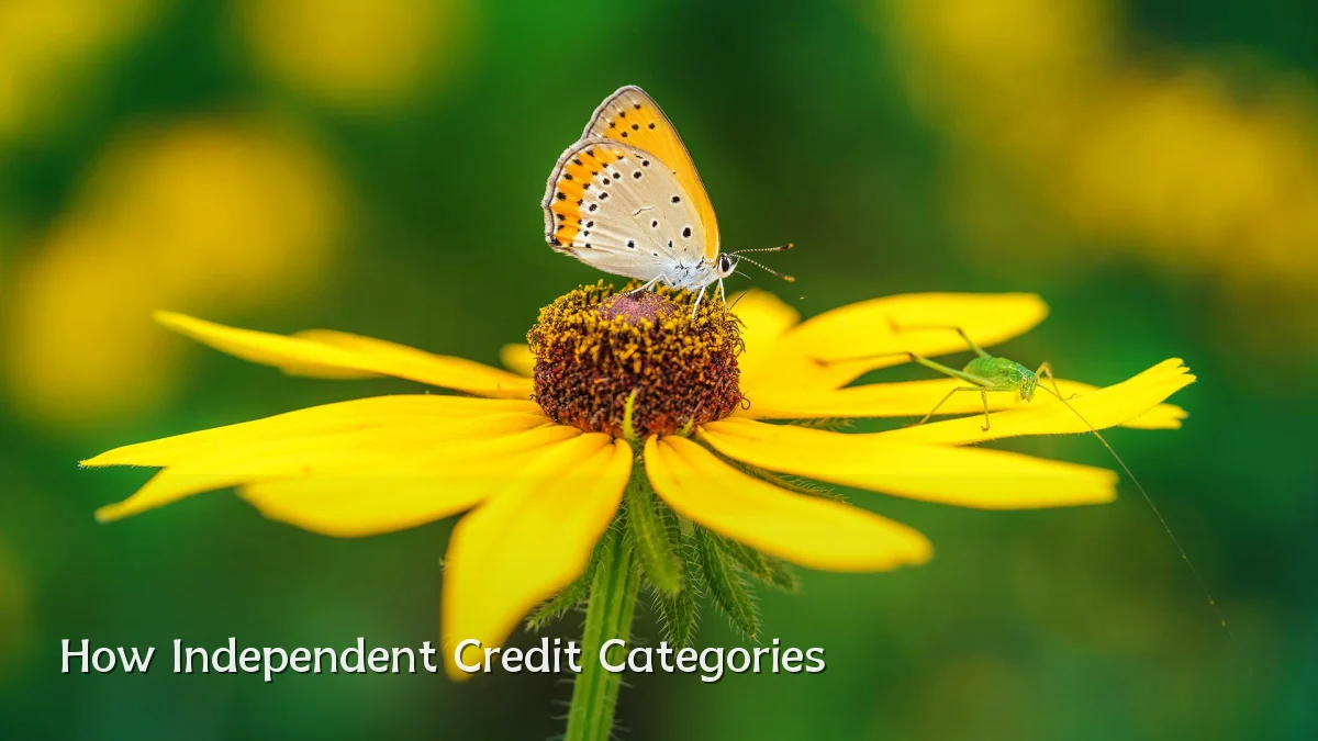 How Independent Credit Categories