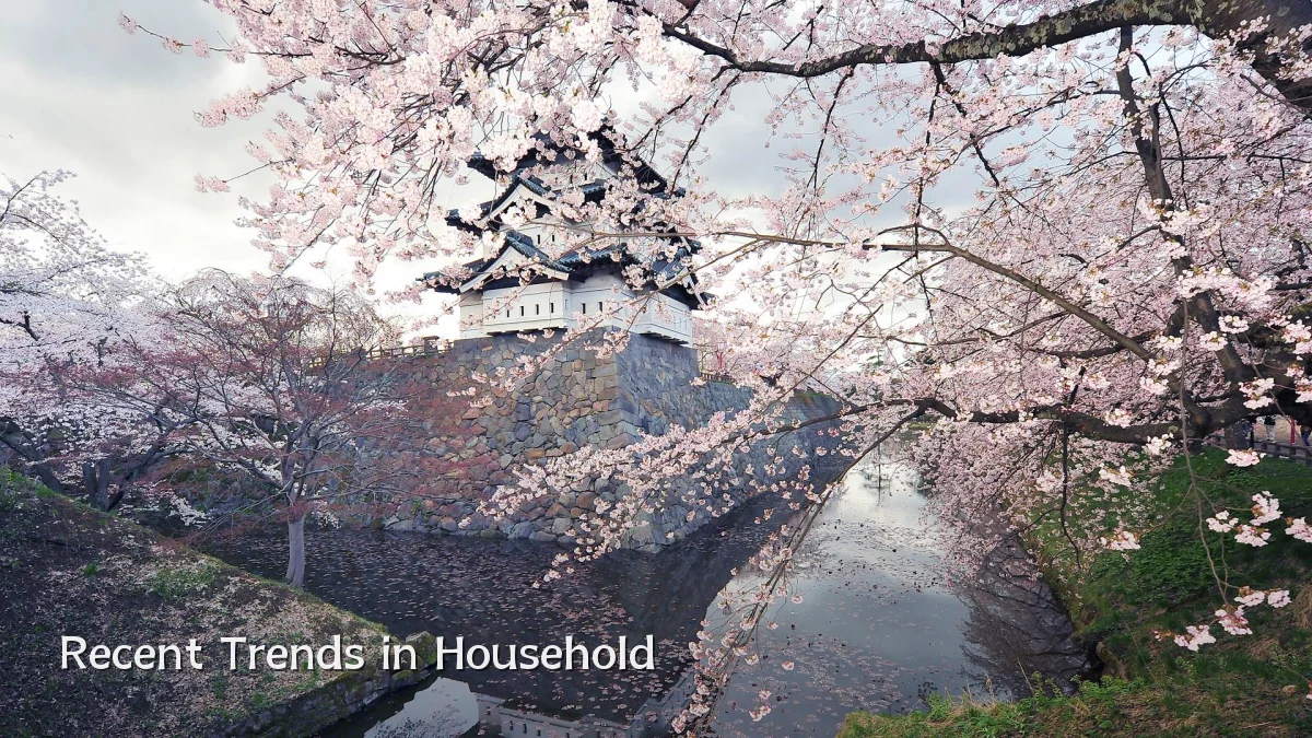 Recent Trends in Household