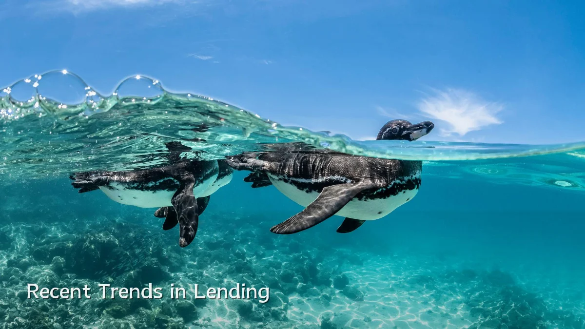 Recent Trends in Lending