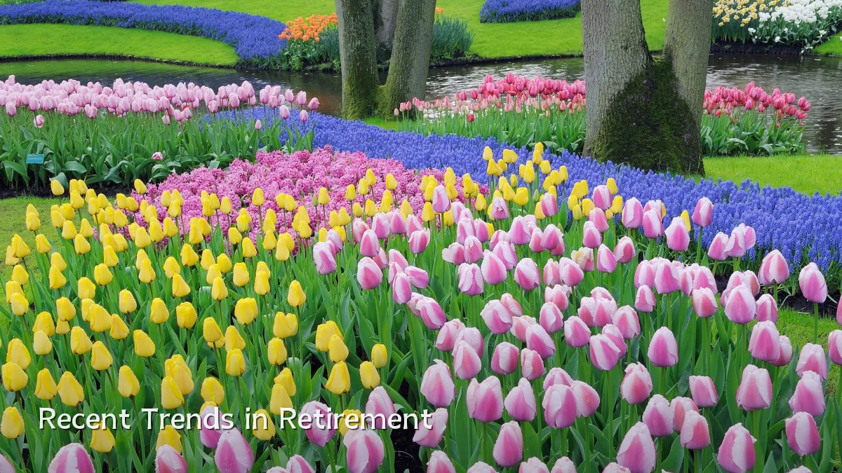 Recent Trends in Retirement