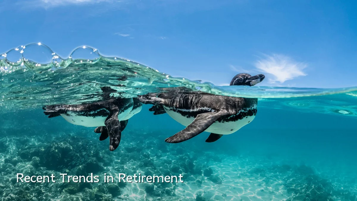 Recent Trends in Retirement