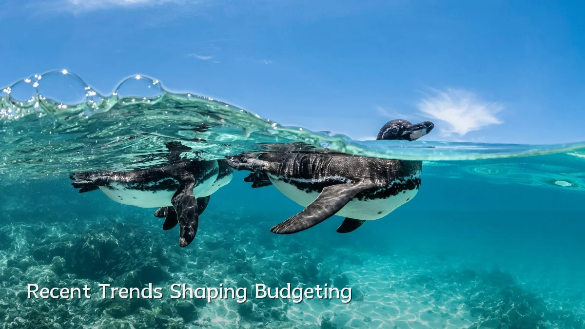 Recent Trends Shaping Budgeting