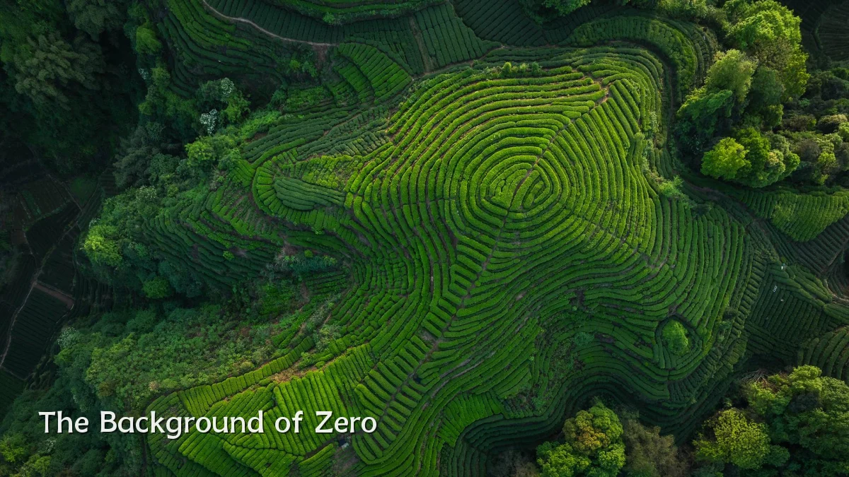 The Background of Zero