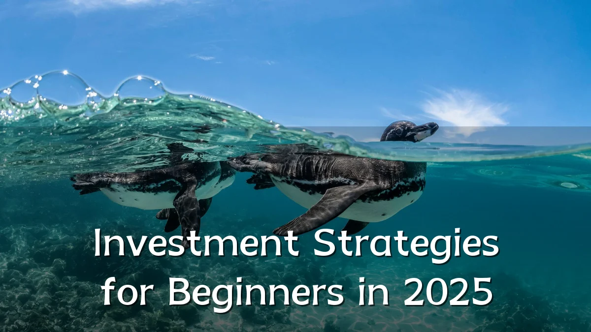 Investment Strategies for Beginners in 2025