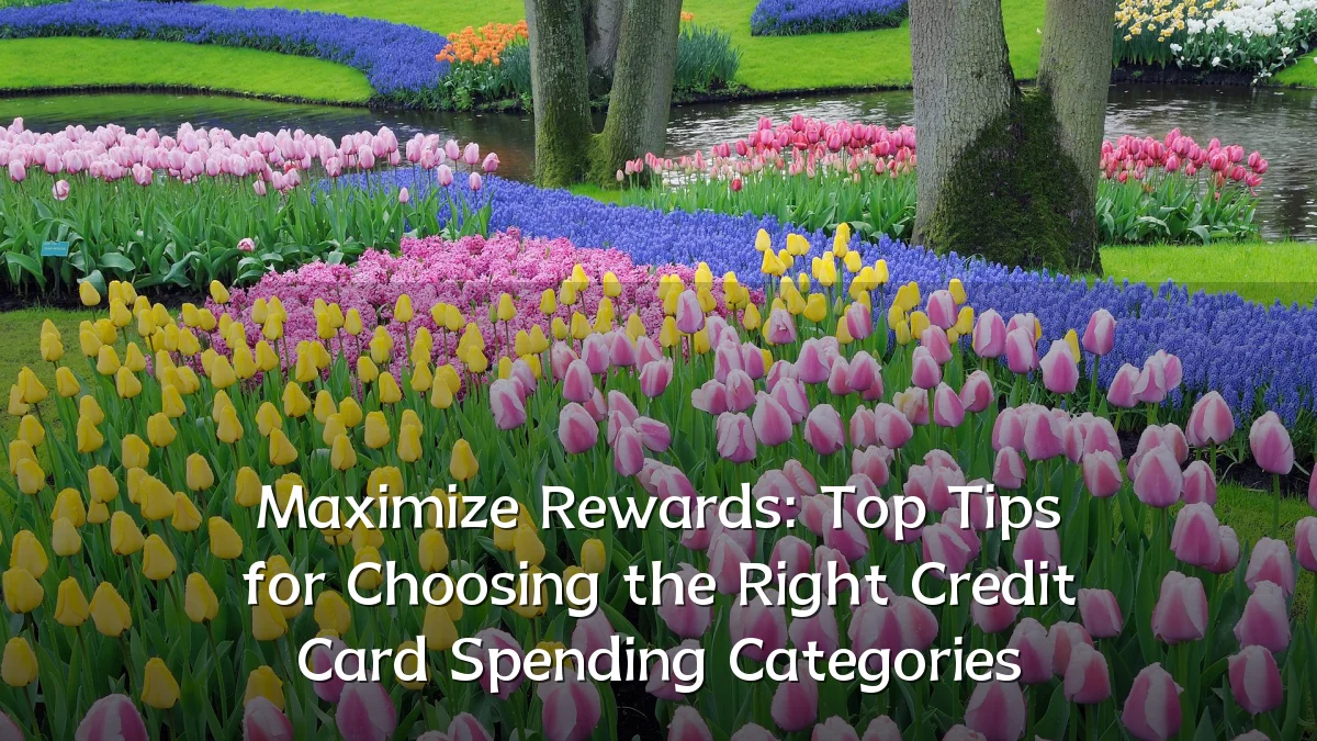 Maximize Rewards: Top Tips for Choosing the Right Credit Card Spending Categories