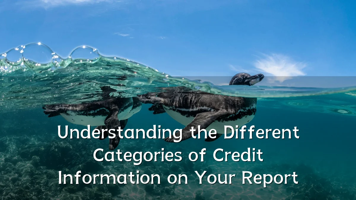 Understanding the Different Categories of Credit Information on Your Report