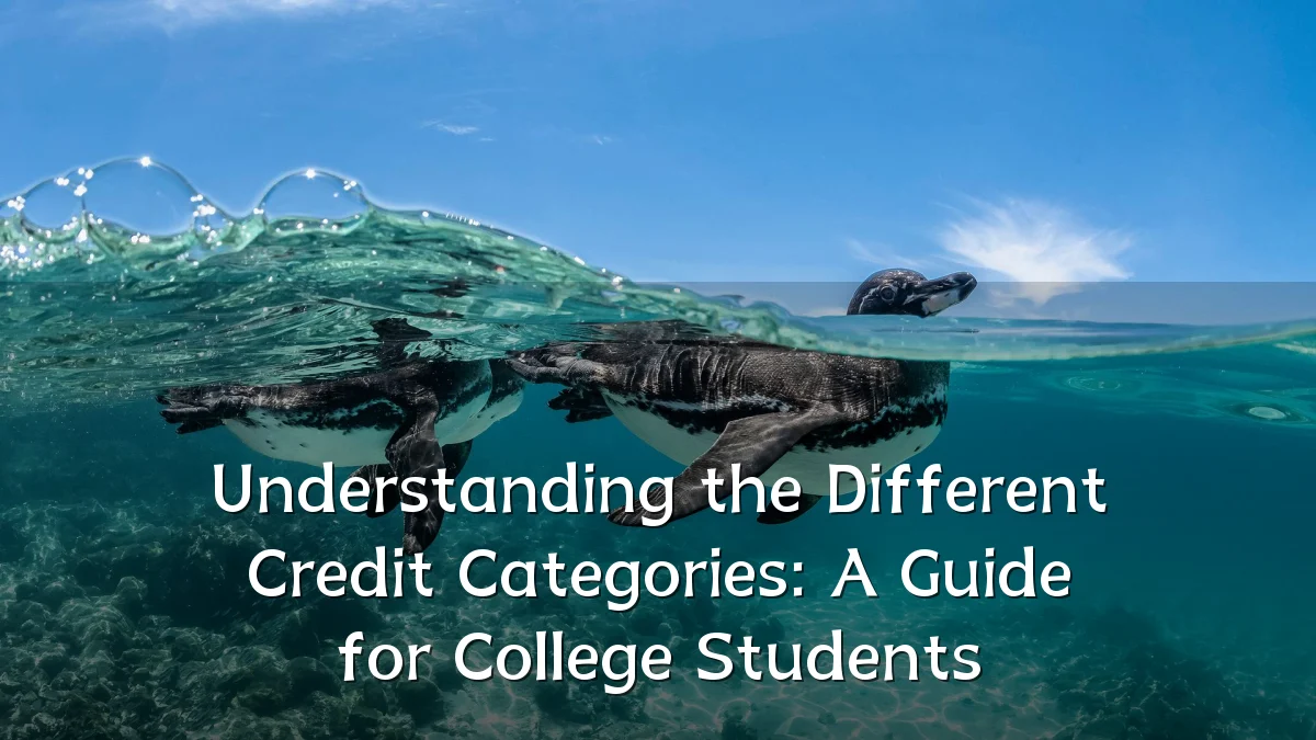 Understanding the Different Credit Categories: A Guide for College Students