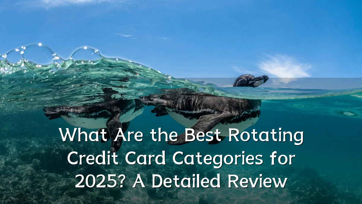 What Are the Best Rotating Credit Card Categories for 2025? A Detailed Review