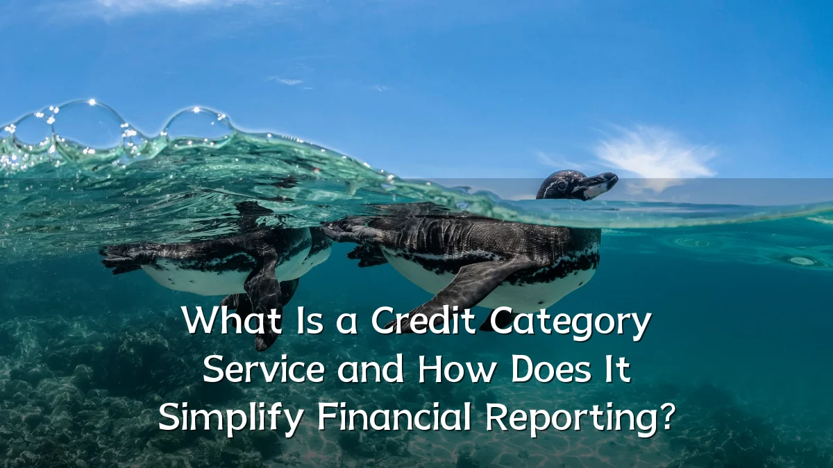 What Is a Credit Category Service and How Does It Simplify Financial Reporting?