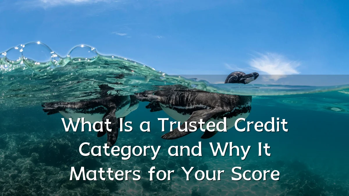 What Is a Trusted Credit Category and Why It Matters for Your Score