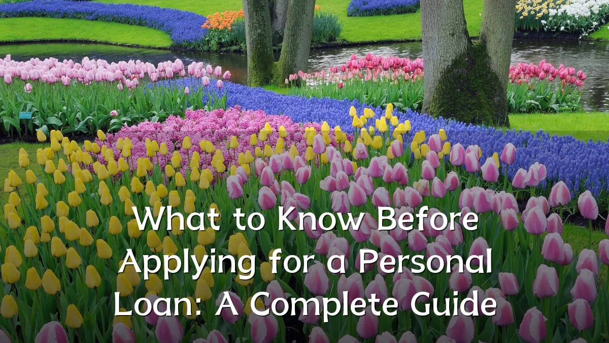 What to Know Before Applying for a Personal Loan: A Complete Guide